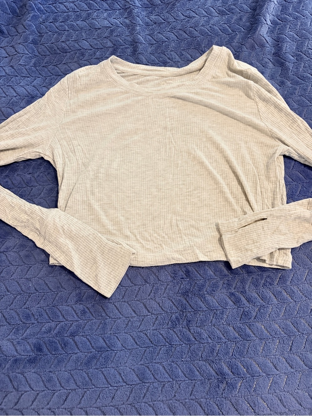 Aerie long sleeve cropped top 🩶🤍